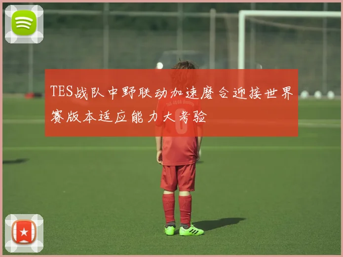 TES战队中野联动加速磨合迎接世界赛版本适应能力大考验